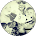  thumb 6